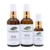Bliss Skin Care Kit