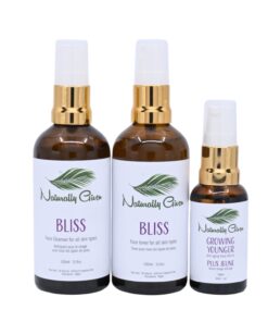 Bliss Skin Care Kit