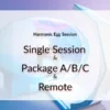 Harmonic Egg Session and packages, remote.