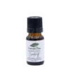 Creativity PURE Essential Oil-1